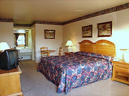 Lakeside Inn & Suites Mathis Zimmer foto